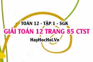 Giải Toán 12 trang 85 tập 1 Chân trời sáng tạo